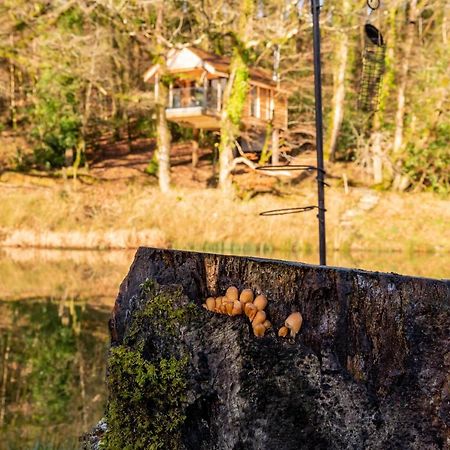 Finest Retreats - The Tree House - Eco-Friendly, Back To Nature Experience Germansweek ภายนอก รูปภาพ