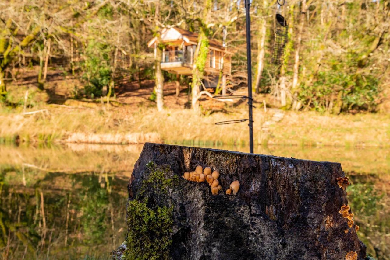Finest Retreats - The Tree House - Eco-Friendly, Back To Nature Experience Germansweek ภายนอก รูปภาพ