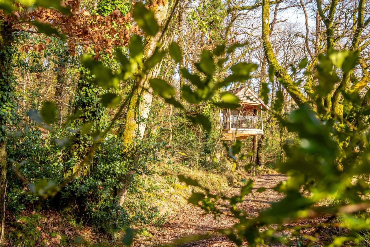 Finest Retreats - The Tree House - Eco-Friendly, Back To Nature Experience Germansweek ภายนอก รูปภาพ